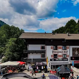 Pinzgauerhof & Bike - Inclusive Evening Dinner Зальбах-Хинтерглемм
